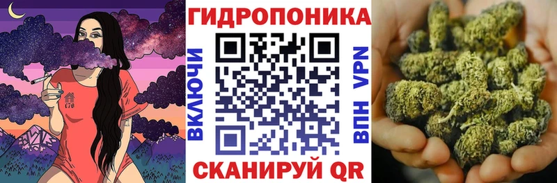 Где продают наркотики Ржев СК  Меф  Канабис 