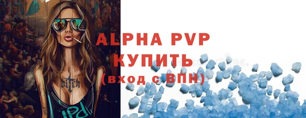 крисы Абаза
