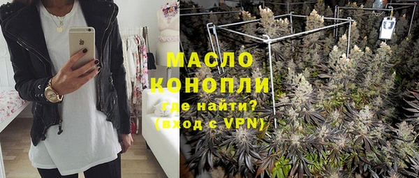 крисы Абаза