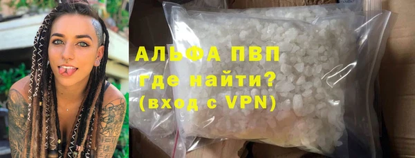 крисы Абаза