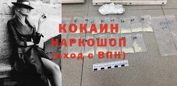 крисы Абаза