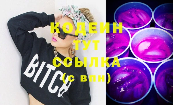 крисы Абаза