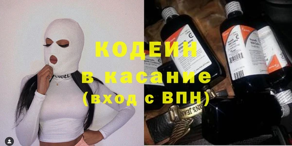 крисы Абаза