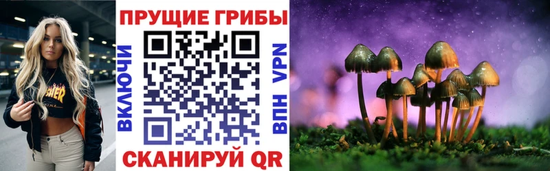где продают   ссылка на мегу как зайти  Псилоцибиновые грибы прущие грибы  Ржев 