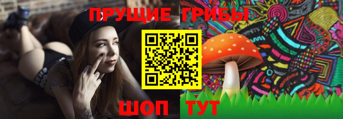 Ржев  Псилоцибиновые грибы прущие грибы  купить наркотики цена  Псилоцибиновые грибы Magic Shrooms  Вход с VPN 
